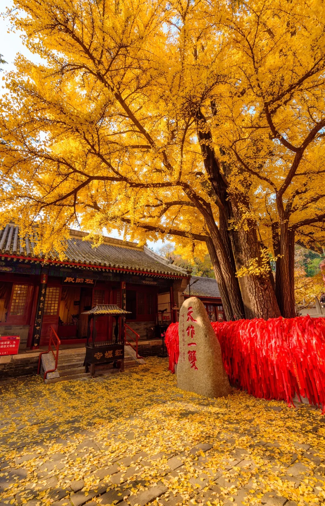 红螺寺｜两颗守望千年的银杏树_2_Akon_北京郊区-来自52tours 我爱旅游网